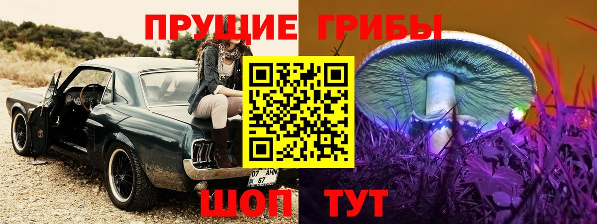 Псилоцибиновые грибы Cubensis Мытищи