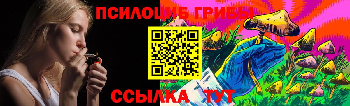 Псилоцибиновые грибы Cubensis  Вход с VPN  Мытищи 